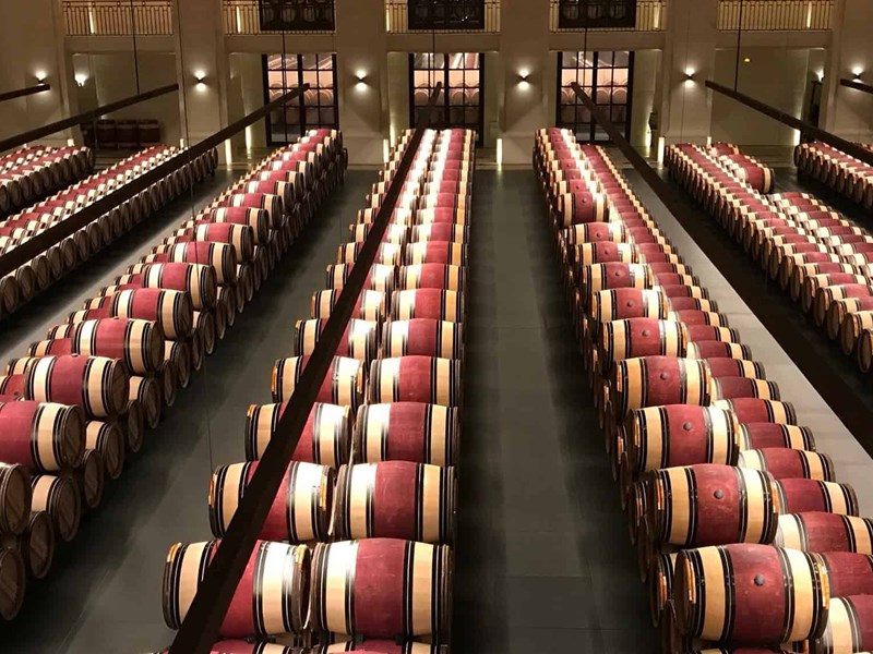 Botti di vino di Bordeaux