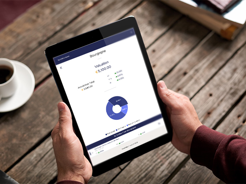 Portale per investitori