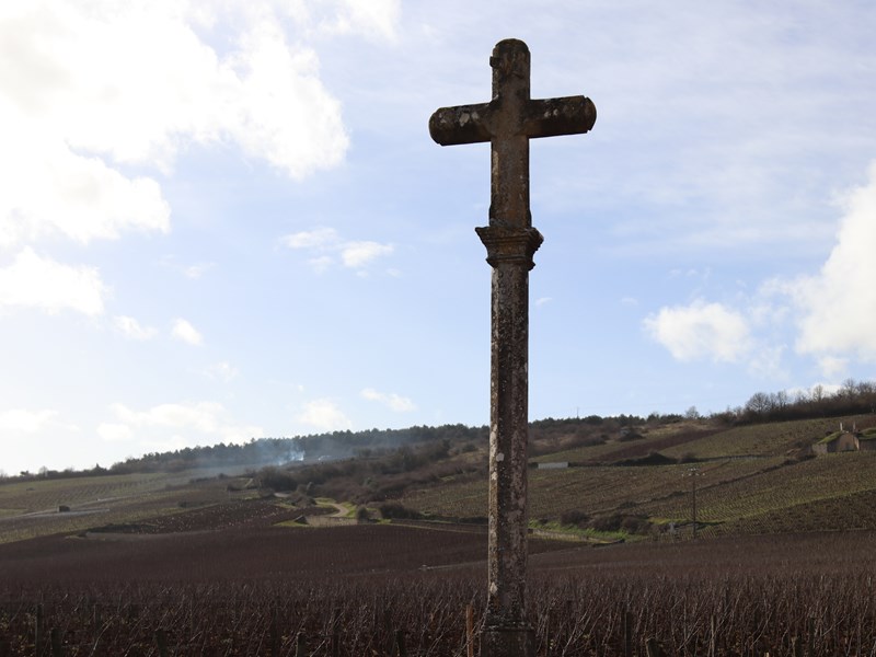 Domaine de la Romanée-Conti