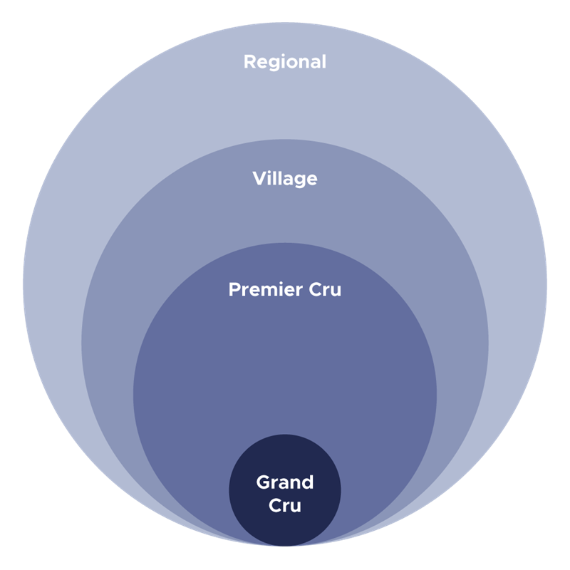 Burgundy Appellations 