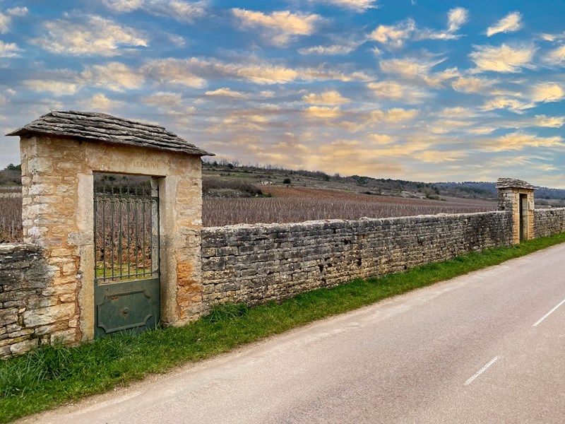 Investi in Domaine Leflaive