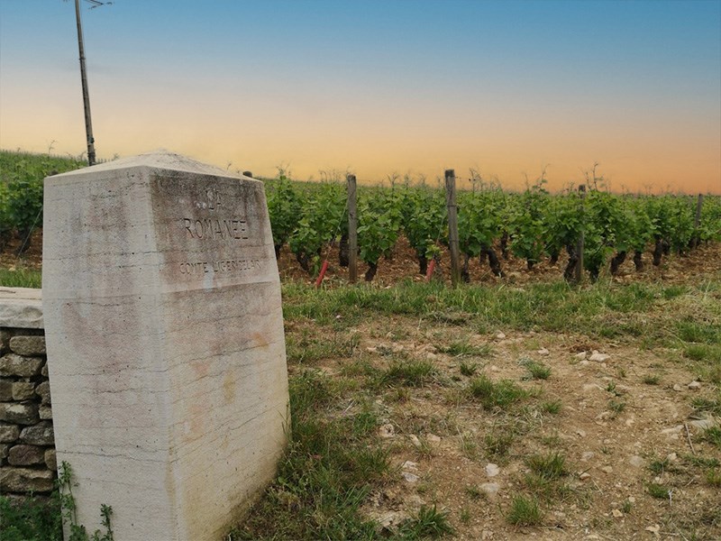La-Romanée-800x600.jpg
