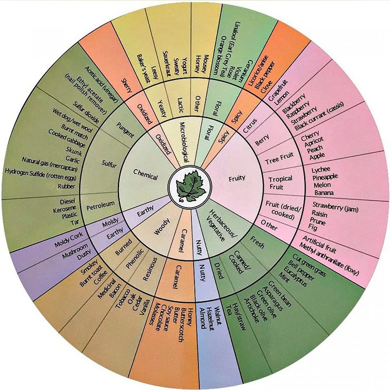 ann-noble-aroma-wheel-800x800.jpg