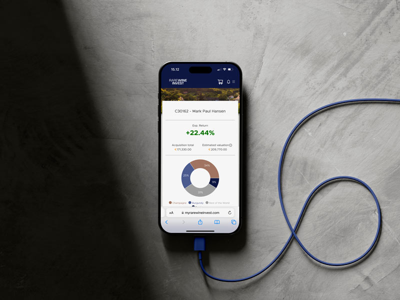 Portale per investitori